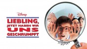 Liebling, jetzt haben wir uns geschrumpft