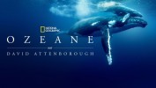 Ozean mit David Attenborough
