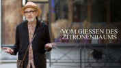 Vom Gießen des Zitronenbaums
