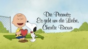 Die Peanuts: Es geht um die Liebe, Charlie Brown