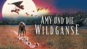 Amy und die Wildgänse