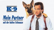 Mein Partner mit der kalten Schnauze
