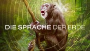 Die Sprache der Erde