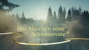 Das Märchen vom Schwanensee