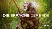 Die Sprache der Erde
