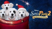 Santa Pfote 2 - Die Weihnachts-Welpen