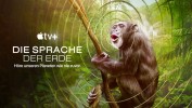 Die Sprache der Erde