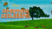Geheimnisse des Lebens