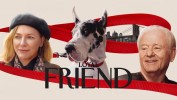Loyal Friend