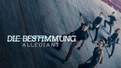 Die Bestimmung - Allegiant