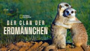 Der Clan der Erdmännchen