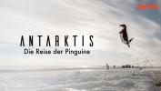 Antarktis - Die Reise der Pinguine