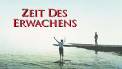 Zeit des Erwachens