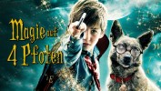 Magie auf 4 Pfoten