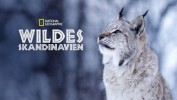 Wildes Skandinavien