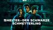 Shelter – Der schwarze Schmetterling