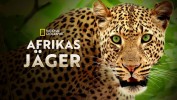 Afrikas Jäger