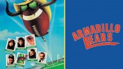 Armadillo Bears - Ein total chaotischer Haufen