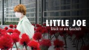 Little Joe - Glück ist ein Geschäft
