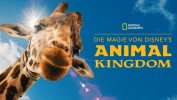 Die Magie von Disney's Animal Kingdom