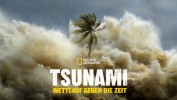 Tsunami: Wettlauf gegen die Zeit