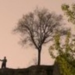 a