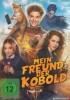 Mein Freund, der Kobold