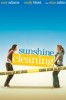 Sunshine Cleaning