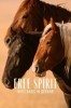 Free Spirit - Mustangs in Gefahr